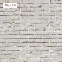 картинка Декоративный кирпич Эрдинг Брик 679-10 White Hills